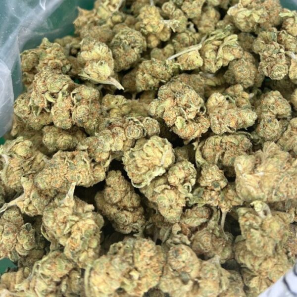 A bag of Blood Diamond OG buds