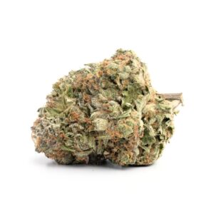 A ingle Blood Diamond OG bud on a whitebackground