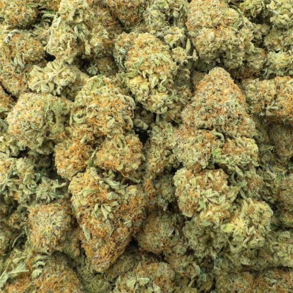 A bag of Hercules buds